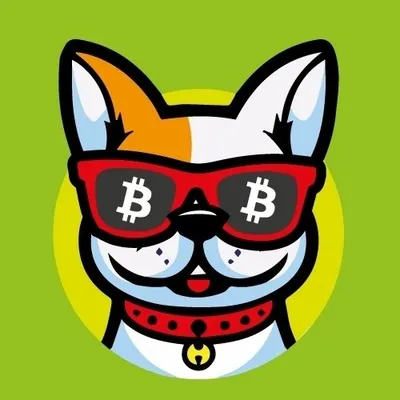 Doggy Finance profile