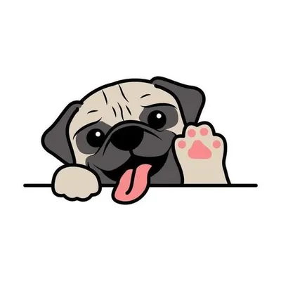 Dog Training | Puppies | Doggo profile