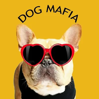 Community for animal lovers profile