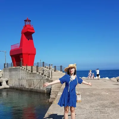 도군 profile