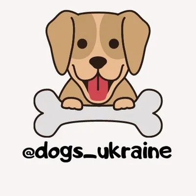 Собаки Украины profile