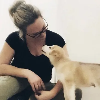 DogSenseTraining&Behaviour profile