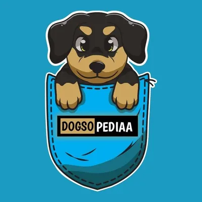 Dogs | Puppies | 9 gag profile