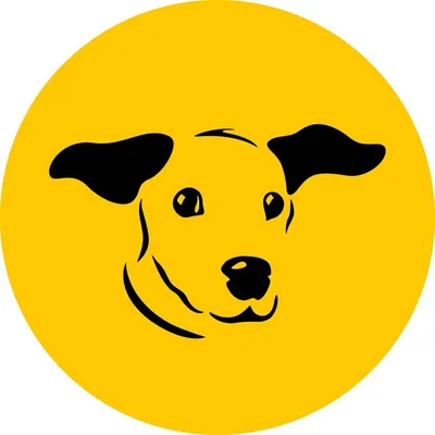 Dogs Trust ๐ถ๐ profile