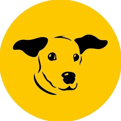 Dogs Trust Loughborough profile