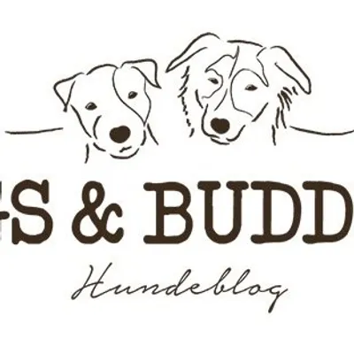 Oldenburger Hundeblog profile