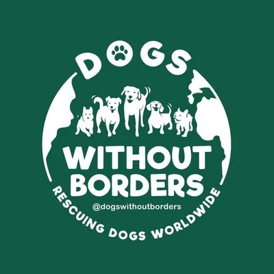 Dogs Without Borders profile