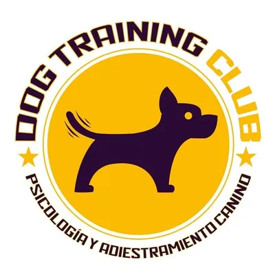 Dog Training Club Chile profile