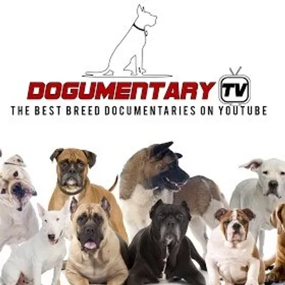 Dogumentary TV profile