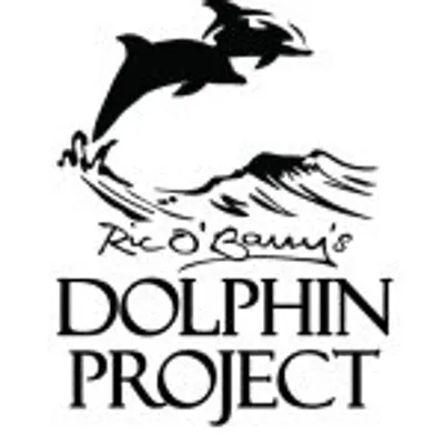 Dolphin Project profile