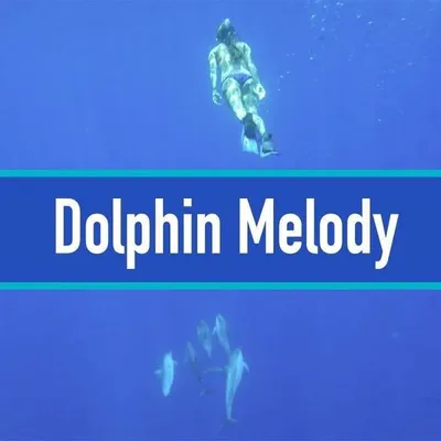 🐬Melody profile