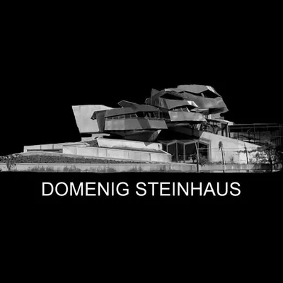 DOMENIG STEINHAUS profile