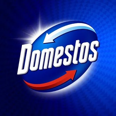 Domestos Казахстан profile