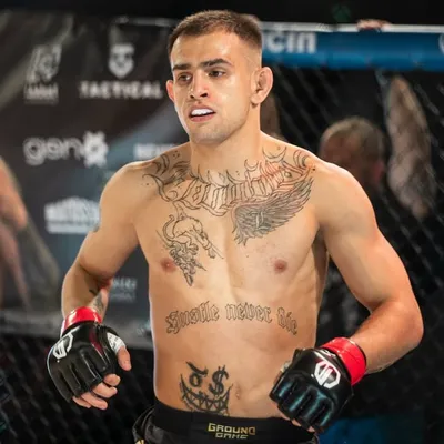 Dominik Toporcer profile