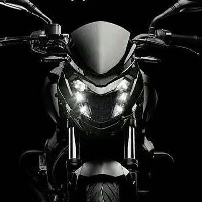 DOMINAR 400 profile