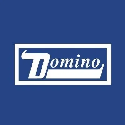 Domino Recording Co. profile