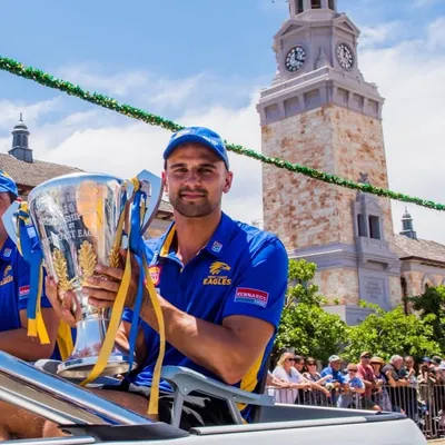 domsheed profile