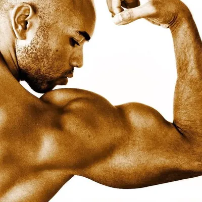 DOMINICK THOMPSON profile