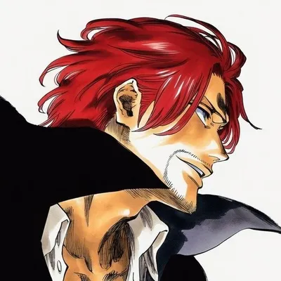 Yaneuille profile