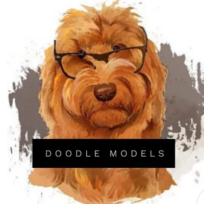 Doodle Model Agency