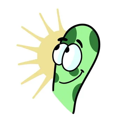 Everything | Doddle Artist profile