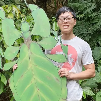 Doublebears 時光人 profile