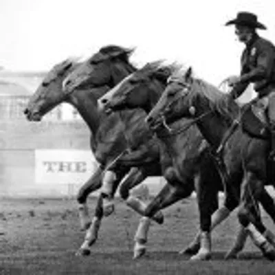 Double Dan Horsemanship profile