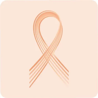 Association Douzefevrier profile