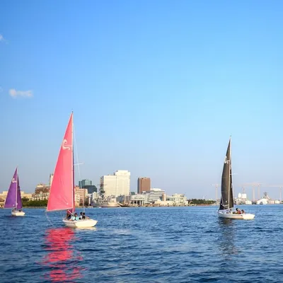 Downtown Norfolk profile