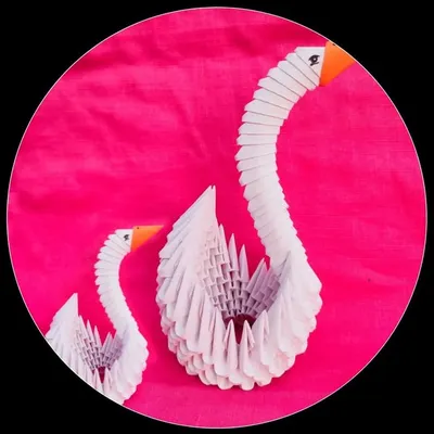 DIYA PINKY profile