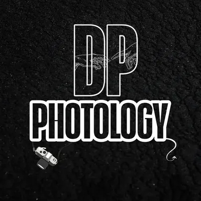 DP PHOTOLOGY & ALBUM'S profile
