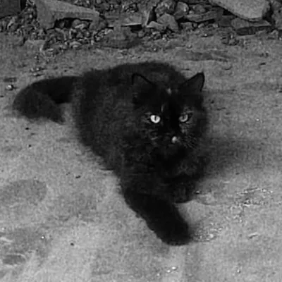 Sabari ๐ฑ profile