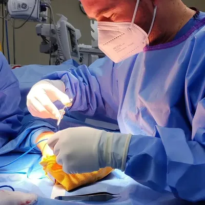 DR DAVID SÁNCHEZ ESCAMILLA profile
