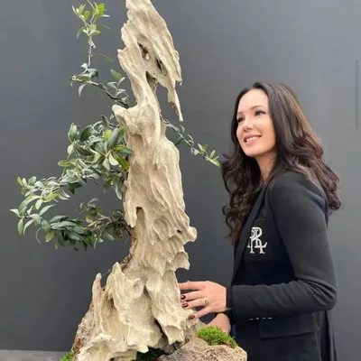 Dr Eng. Kasia Sterriker profile
