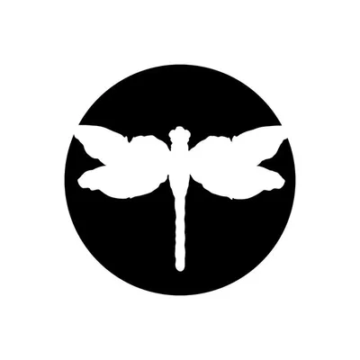 The Dragonfly Agency profile