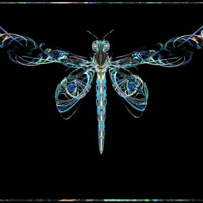 Dragonfly profile