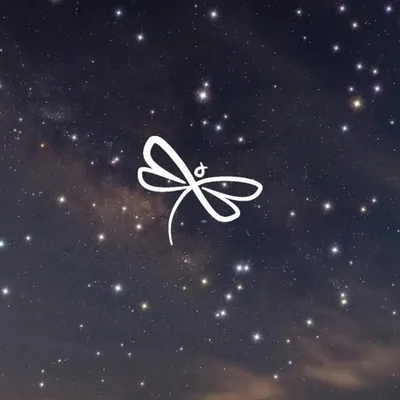 Dragonfly Verlag profile