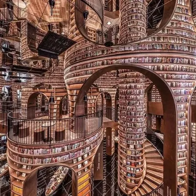 Dream Library profile