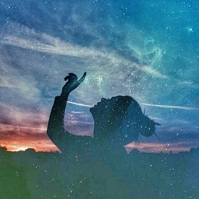 Dreams Δ profile