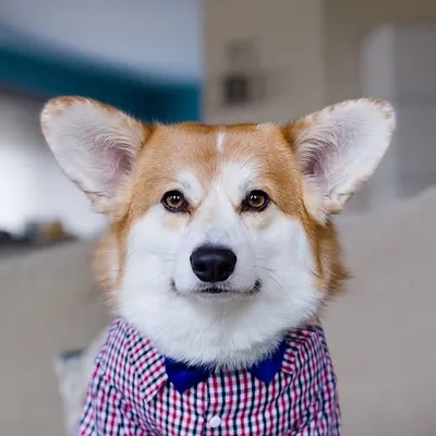 Drewbert and Mona profile