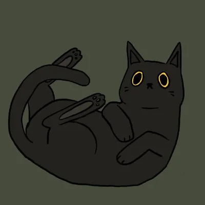 dricy ๐โโฌโจ profile