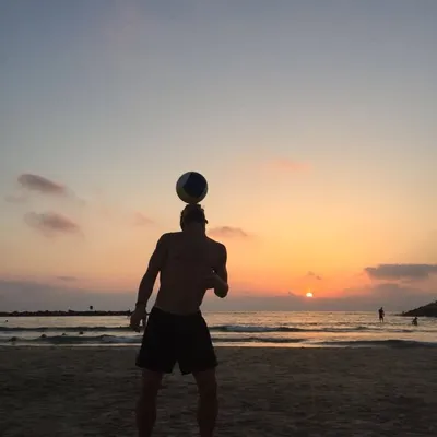 Dries Mertens profile