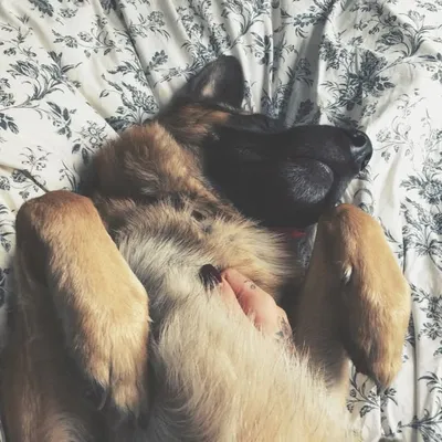 DROGBA & JUNO profile