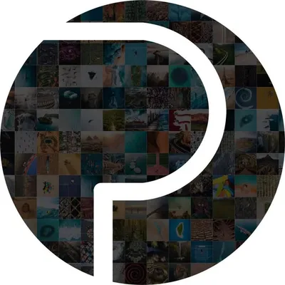 Drone Pals profile