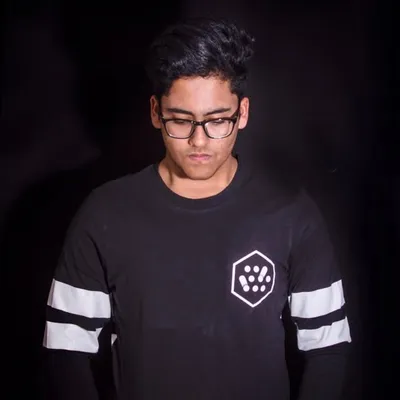 Dropstadamus profile