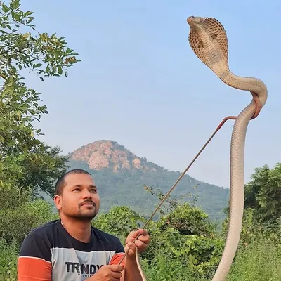 Dharmendra Singh Rajput profile
