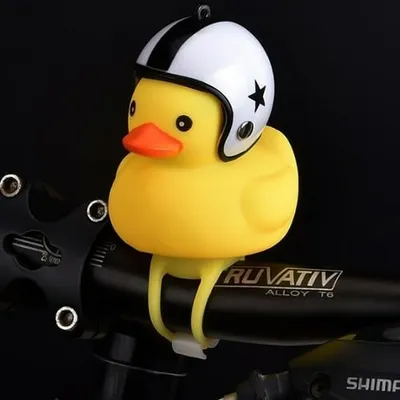 DucBike™ profile