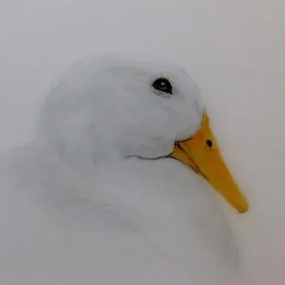 ๐ฅ๐ฅ๐ฅ๐ฅ๐ฅ๐ฅ๐ฅ๐ฅ๐ถ profile