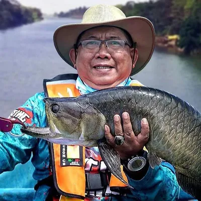 Dudit Widodo profile