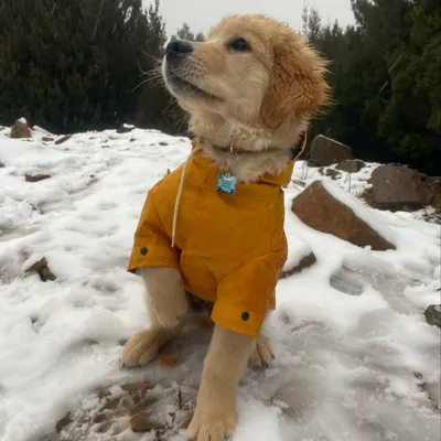 Duke profile